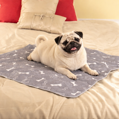 Pups Pad -The Last Pee Pad You’ll Ever Need